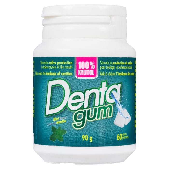 Denta Gum Mint Flavour 60 Gums 90 g